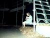 1997-mnd02